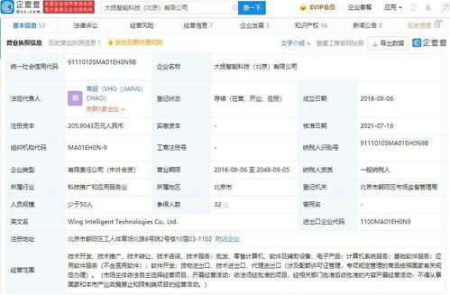 字節(jié)跳動(dòng)投資布局新動(dòng)態(tài) 入股大揚(yáng)智能科技，深化軟件開發(fā)版圖